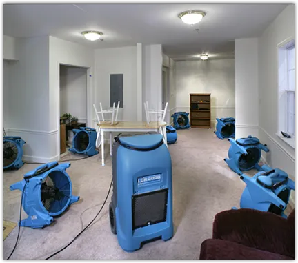 Flood Damage Cleanup in El Segundo, CA